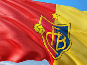 开云体育APP下载-巴黎轻取瑞士，内马尔制霸全场