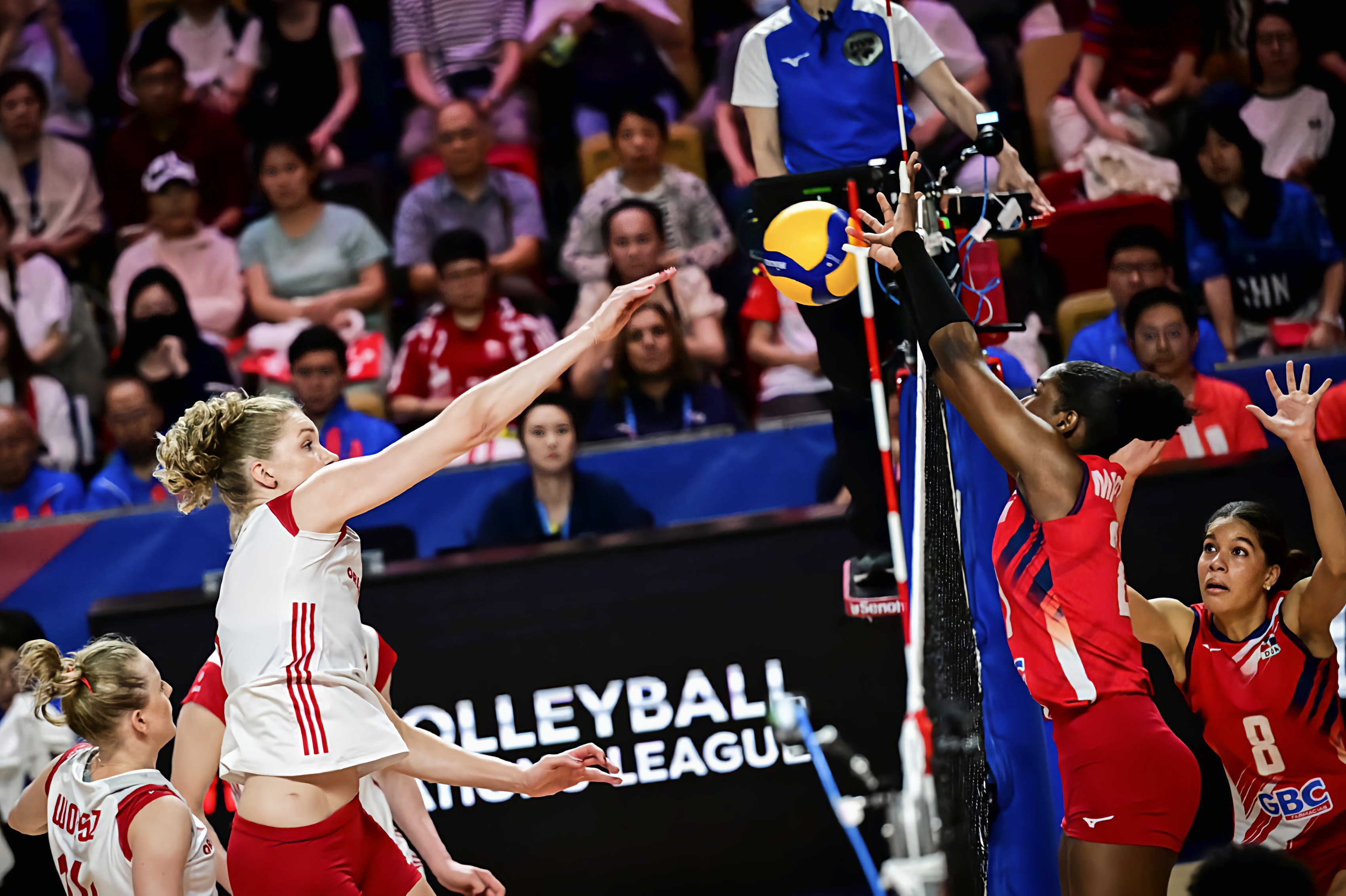 接连连胜！比利时队势不可挡，挑战波兰队的简单介绍