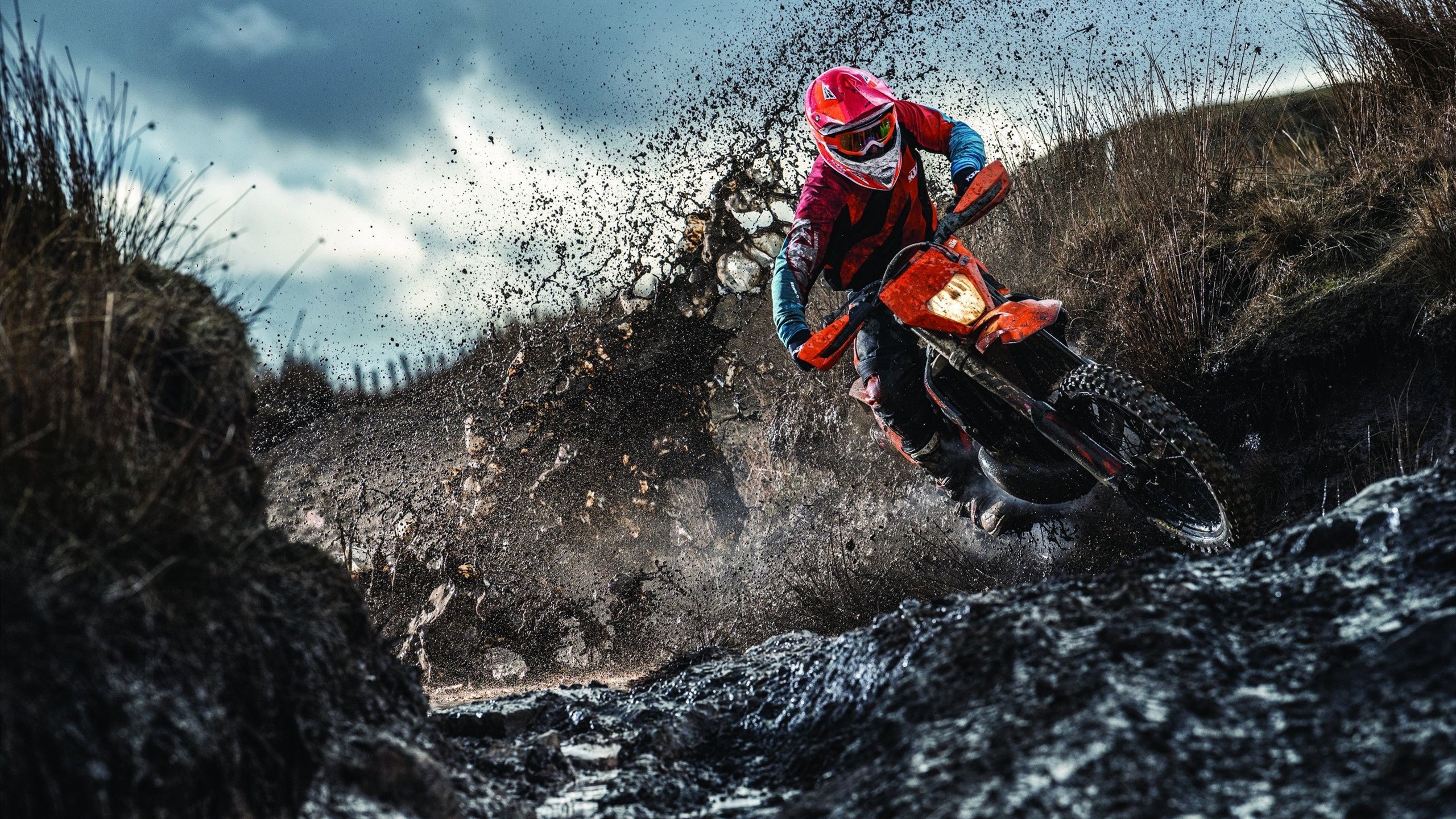 西亚卡姆狂飙破局,雄鹿火力全开压制雷霆,东西部格局暗流涌动